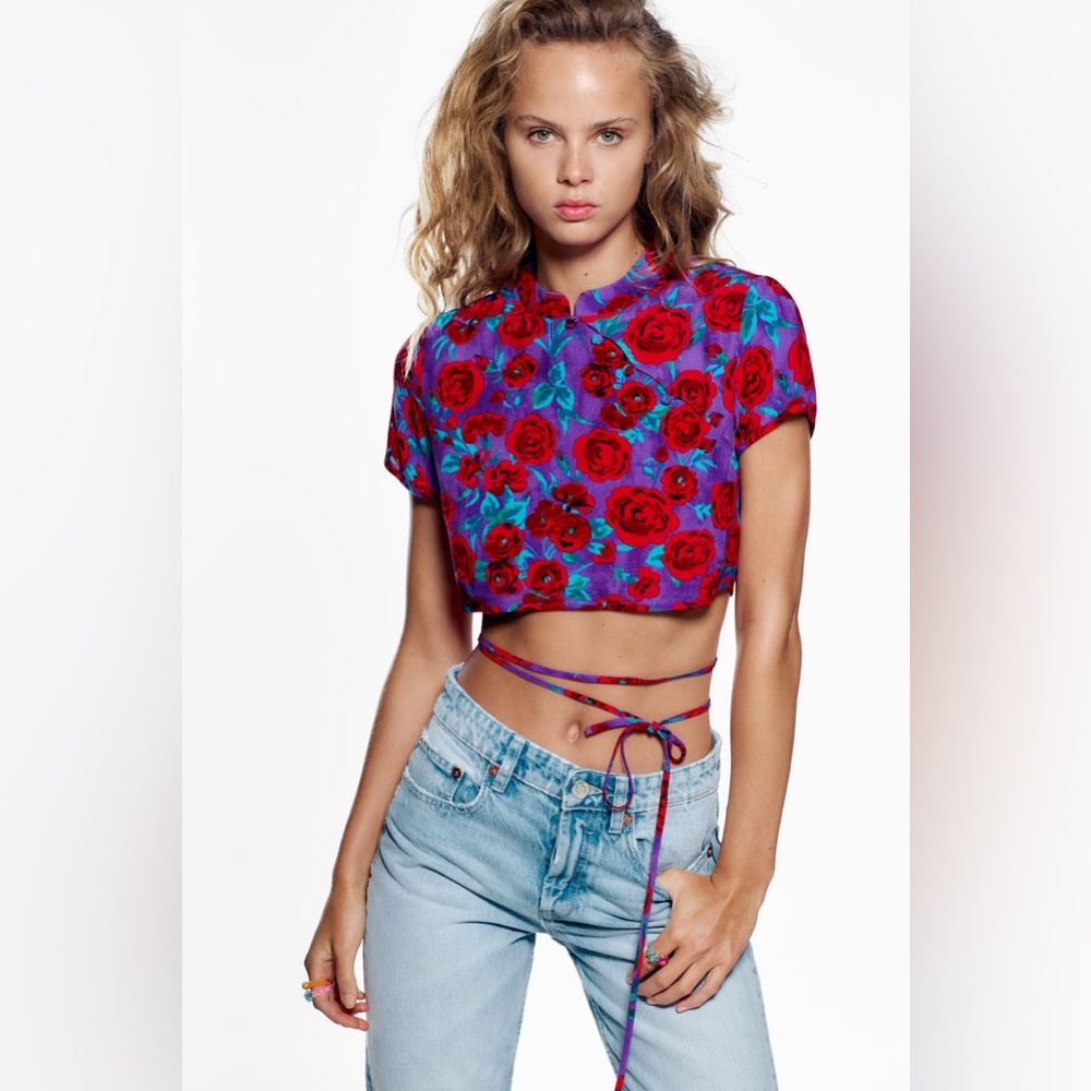 Zara Purple and Blue Crop Top